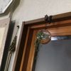 clipThumbnail