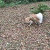 clipThumbnail
