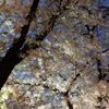 clipThumbnail