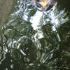 clipThumbnail