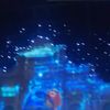 clipThumbnail