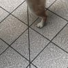 clipThumbnail