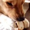 clipThumbnail
