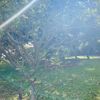 clipThumbnail