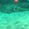 clipThumbnail