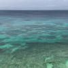 clipThumbnail