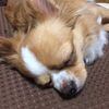 clipThumbnail