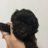 clipThumbnail