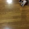 clipThumbnail