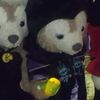 clipThumbnail