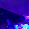 clipThumbnail