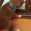 clipThumbnail