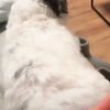 clipThumbnail