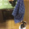 clipThumbnail