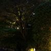 clipThumbnail