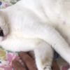 clipThumbnail