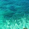 clipThumbnail