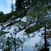 clipThumbnail