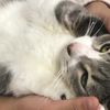 clipThumbnail