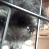 clipThumbnail