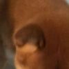 clipThumbnail