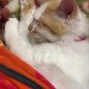 clipThumbnail
