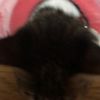clipThumbnail