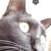 clipThumbnail