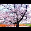 clipThumbnail