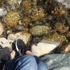clipThumbnail