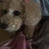 clipThumbnail