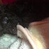 clipThumbnail
