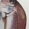 clipThumbnail