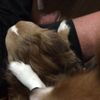 clipThumbnail