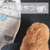 clipThumbnail