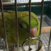 clipThumbnail