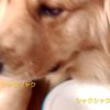 clipThumbnail