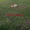 clipThumbnail
