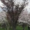 clipThumbnail