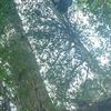 clipThumbnail