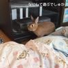 clipThumbnail