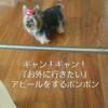 clipThumbnail