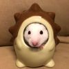 clipThumbnail