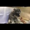 clipThumbnail