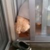 clipThumbnail
