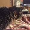 clipThumbnail