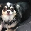 clipThumbnail