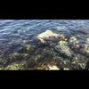 clipThumbnail