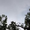 clipThumbnail