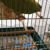 clipThumbnail